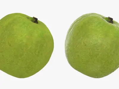Whole Pink Guava 3D model