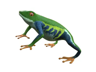Red eyed tree Frog 3D model