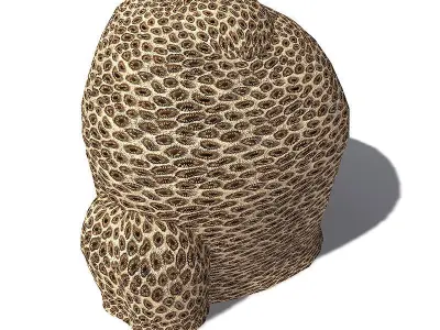 2020 XfrogPlants Red Sea Library  3D model