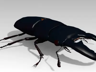 Giant Stag Beetle Low-poly 3D model