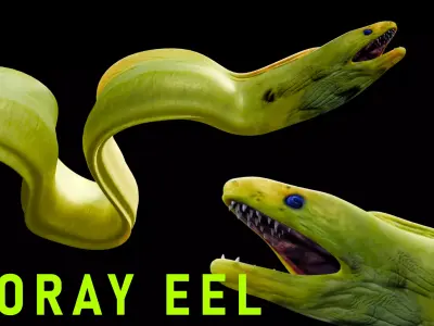 Animated Moray Eel Low-poly 3D model