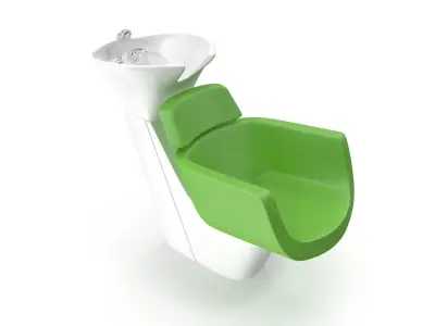 Eco Style Hair Washer 3D model