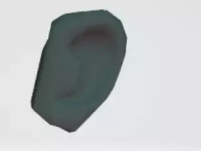 tooth and ear 3D model