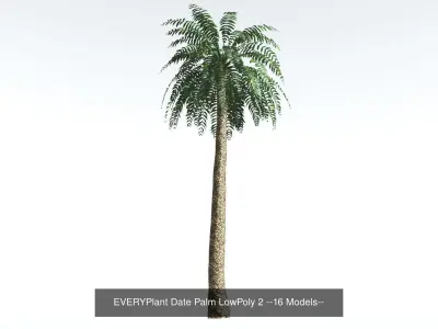 EVERYPlant Date Palm Bundle LowPoly --64 Models-- 3D Model Collection