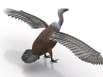 Vulture Bird Rigged 3d model Free 3D model