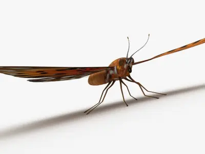 Gulf Fritillary 3D model