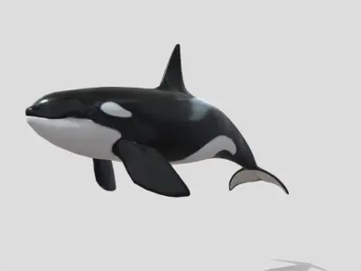 killer-whale Animated Low-poly Low-poly 3D model