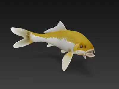 Koi Fish 3D Model Basic - Low Poly Simple Low-poly 3D model