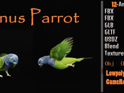 Pionus Parrot Bird Low-poly 3D model