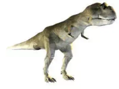 Allosaurus Free 3D model