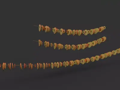 Apple rings preservation - dried and fresh Low-poly 3D model