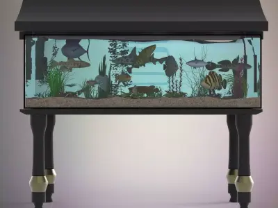 Fish aquarium 3D model