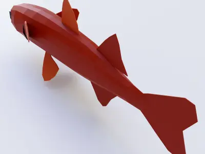 Grass carp fish low poly 3d model  Low-poly 3D model