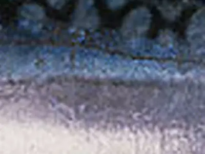 Ikan Tongkol - Mackerel Tuna Fish Free 3D print model