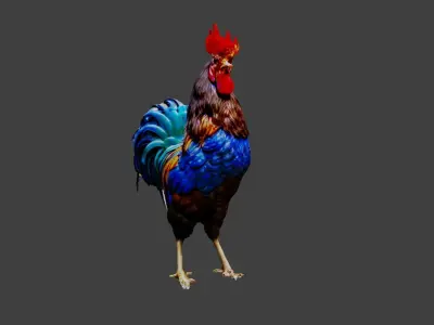 Cockerel Chicken Low-poly 3D model