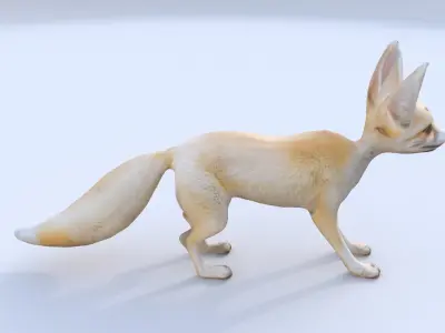 Fennec Fox 3D model