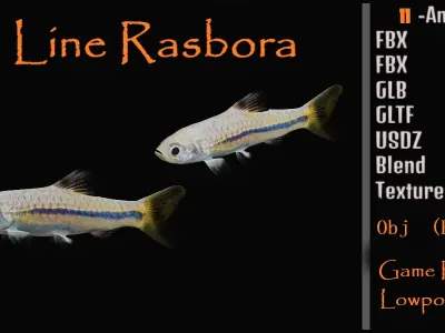 Blue Line Rasbora Fish Low-poly 3D model