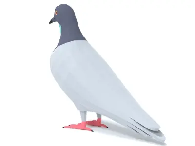 Low Poly Cartoon Pigeon Low-poly 3D model