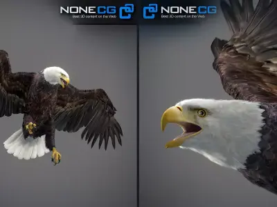 Animated Bald Eagle by NoneCG Free 3D model