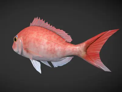 Carp 01 Low-poly 3D model