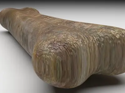 Triceratops Bone 3D model