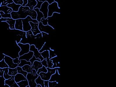 Dragon Egg Low-poly 3D model