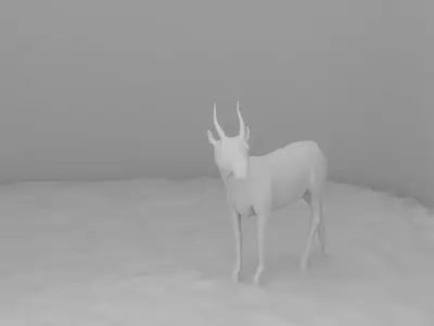 beautiful deer 3D model