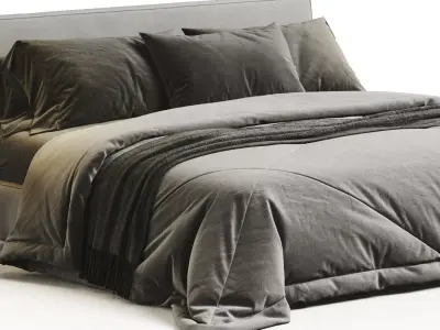 Ray Bed 3D model