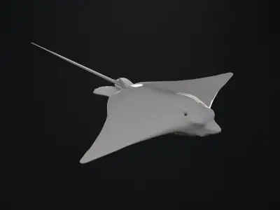 Realistic rigged Spotted Eagle Ray 3D model