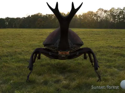 rhinocerosBeetle 3D 3D model