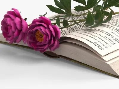 Open Book with Two Purple Peony Flowers 3D model