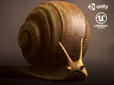 Land snail1 - Game Ready Low-poly 3D model Low-poly 3D model