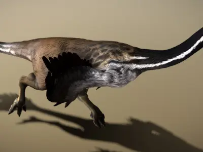 Gallimimus The Ostrich Mimic of the Cretaceous Low-poly 3D model