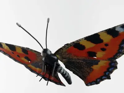 Butterflies Collection - 24 Rigged Low-Poly Butterfly Models Low-poly 3D model