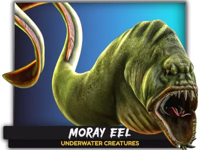 Fish low poly model - Moray Eel fish - horror - monster fish 4 Low-poly 3D model