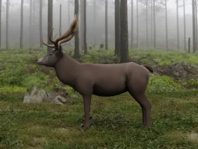 Deer LowPoly with antlers Low-poly 3D model