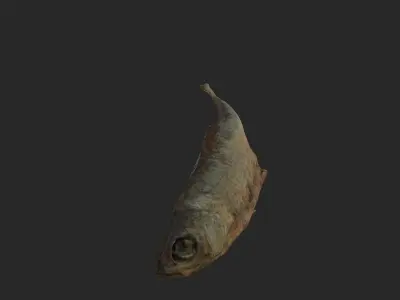 Scanned photorealistic dried fish Low-poly 3D model