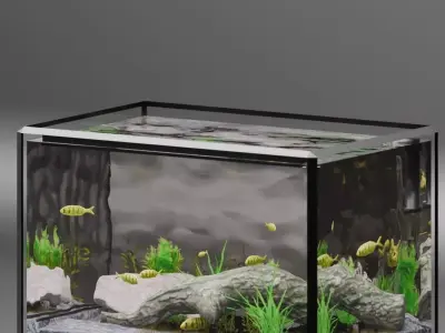 Fish tank Free low-poly 3D model