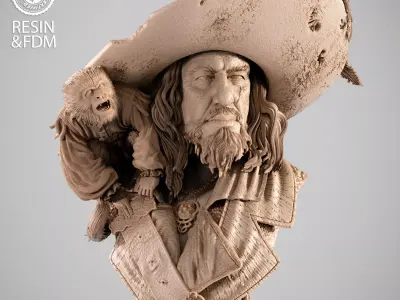 Wicked Movies Barbossa Portrait Bust 3D print model