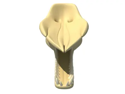 Sperm Whale Skull 3D model