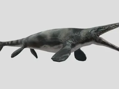 Tylosaurus Low-poly 3D model