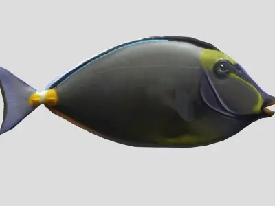 Orange Spine Unicornfish Realistic Animated Low-poly 3D model