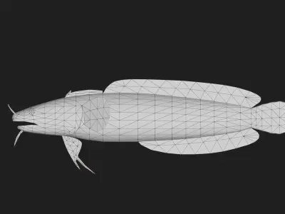 Threebeardedrockling Low-poly 3D model