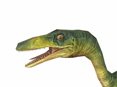 Compsognathus Low-poly 3D model