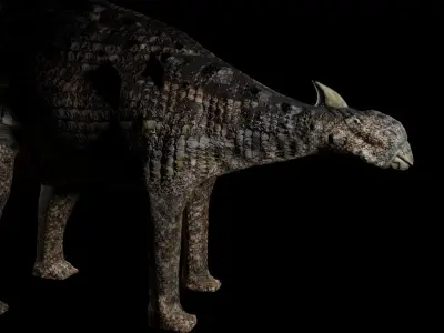 Ankylosaurs dinosaur Low-poly 3D model