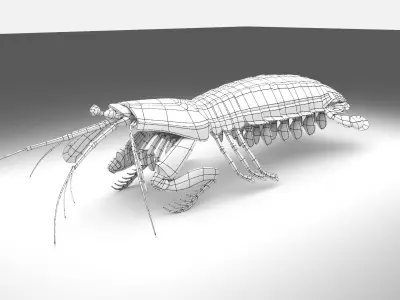 Mantis Shrimp Squill Low-poly 3D model