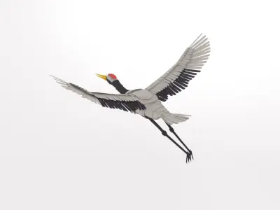 Stylized Stork - Animated Model 3D model