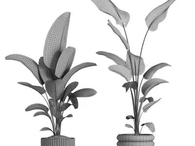 indoor plant 040 3D model