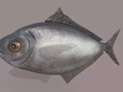 ButterFish fish Low-poly 3D model