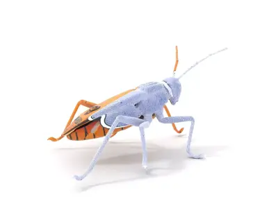 Golden Mechanical Insect model pack Low-poly 3D model